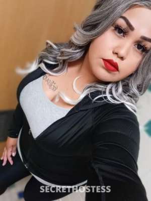 Melissa 25Yrs Old Escort San Jose CA Image - 2