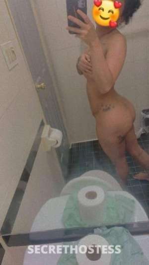 Maciel 25Yrs Old Escort Wilmington DE Image - 1