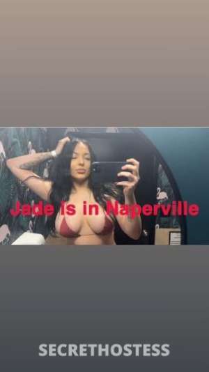 Dani/Elena/Jade 29Yrs Old Escort Chicago IL Image - 7