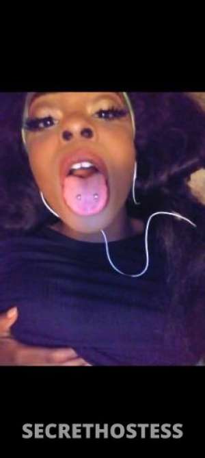 Rose 23Yrs Old Escort Houston TX Image - 3