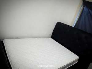 24Yrs Old Escort Newcastle Image - 7