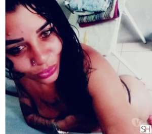 25 year old Mestizos Escort in Guaiba Rio Grande do Sul Dany Safadinha