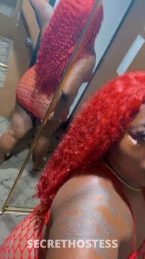 Delicious⭐️⭐️⭐️⭐️⭐️ 24Yrs Old Escort Rochester NY Image - 8