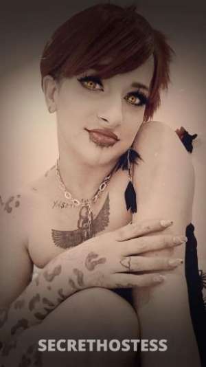 31 year old Escort in Hamilton The Insatiable Queen of C**k PipSupertramp