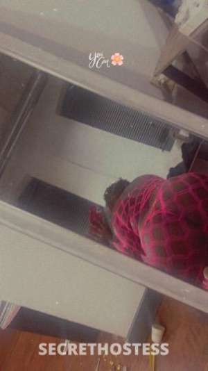 23Yrs Old Escort Rochester NY Image - 2