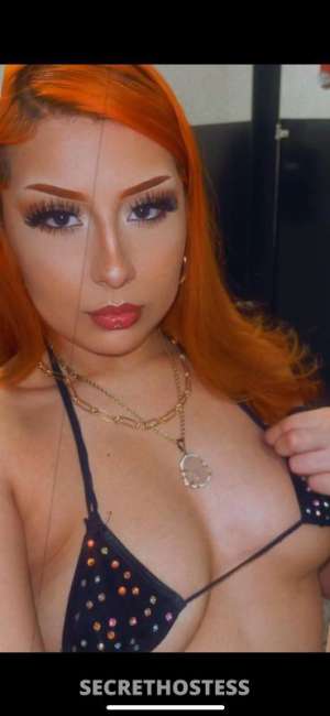 21 year old American Escort in El Paso TX Lonely and looking for company