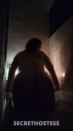 Kitty 39Yrs Old Escort Stockton CA Image - 5