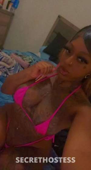 26 year old Escort in Los Angeles CA Wet Pussy Wonderland