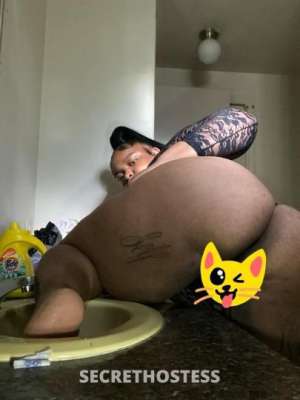 Dutchess 22Yrs Old Escort Rochester NY Image - 2