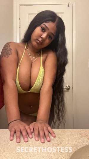 21 year old Escort in Oakland CA Sexy big titties thick ass. please give me dick