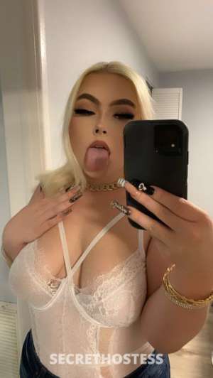 Ella 21Yrs Old Escort 160CM Tall Tampa FL Image - 1