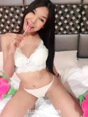 23Yrs Old Escort Coffs Harbour Image - 2