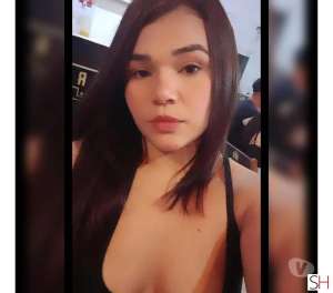 23 year old White Escort in Feira De Santana Bahia Bianca pequena paraibana