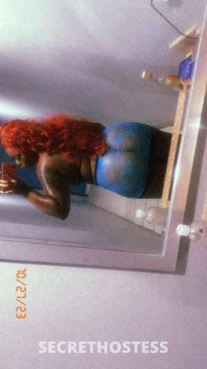 Safari 28Yrs Old Escort San Gabriel Valley CA Image - 4