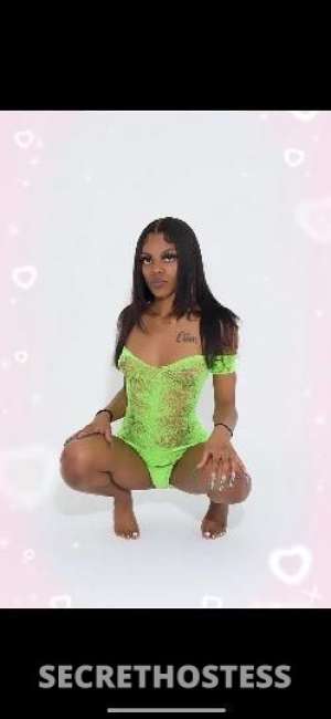 21 year old Escort in San Francisco CA sweet &amp; petite scorpio New In Town