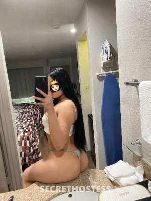 22 year old Latino Escort in Memphis TN only incall ? oucall ?sexy hot latina