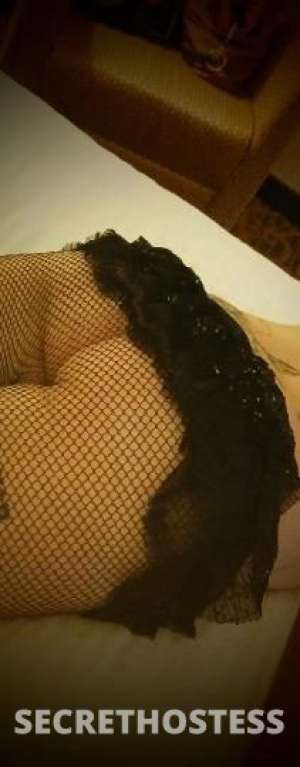 Kyliefoxx 37Yrs Old Escort Niagara Image - 3