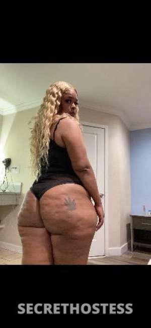 26 year old Puerto Rican Escort in Los Angeles CA holiday specials, Puerto Rican goddess