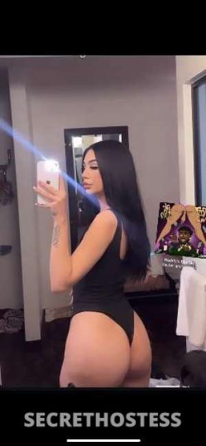 21 year old Latino Escort in Mendocino CA your favorite fantasy