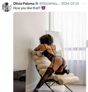 Olivia Paloma 25Yrs Old Escort Montreal Image - 3