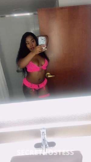 Bree 22Yrs Old Escort Palm Bay FL Image - 4