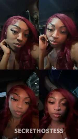 anna 21Yrs Old Escort Little Rock AR Image - 3
