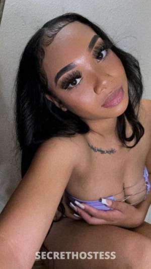 27 year old Asian Escort in San Francisco CA Leilei Love