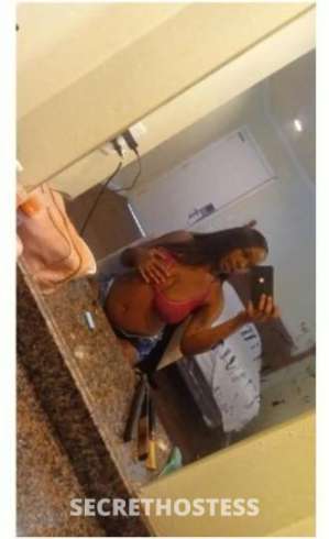 Koko 22Yrs Old Escort San Jose CA Image - 2