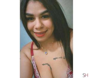 23 year old White Escort in Fraiburgo Santa Catarina Atendimento tranquilo ,completo ,somente com preservativo