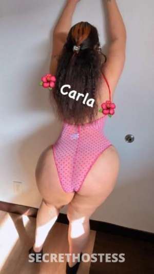 Carla 26Yrs Old Escort South Jersey NJ Image - 1