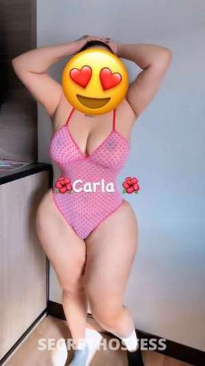 Carla 26Yrs Old Escort South Jersey NJ Image - 2