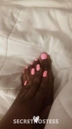 26 year old American Escort in High Point NC Thomasville, nc
