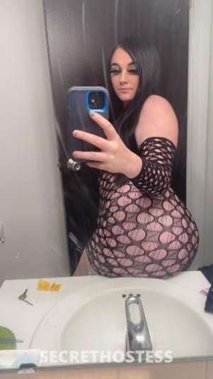 Paradise 22Yrs Old Escort South Bend IN Image - 7