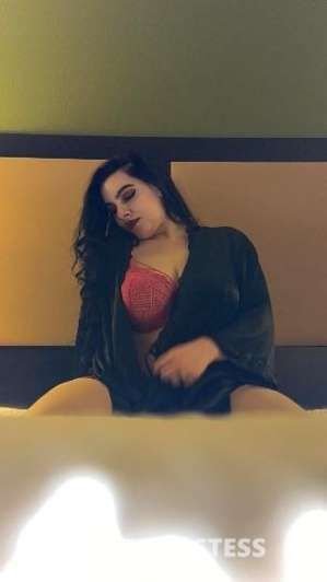 Raine 25Yrs Old Escort 157CM Tall Wichita KS Image - 3