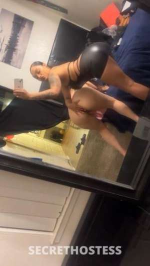 22 year old Brazilian Escort in San Fernando Valley CA Brazilena rica ? y joven