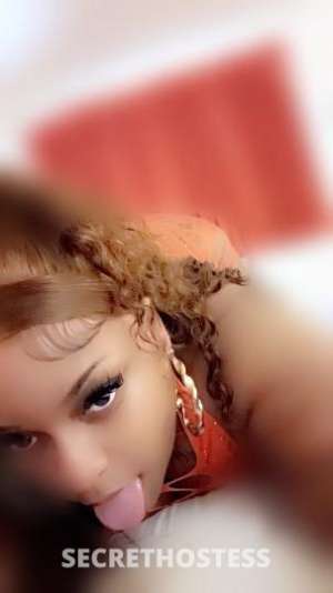 22 year old Escort in Bakersfield CA BIGGEST TITTIES IN THE CITY WETT TIGHT CARMEL DELIGHT $100 