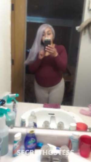 MIA 28Yrs Old Escort Seattle WA Image - 8