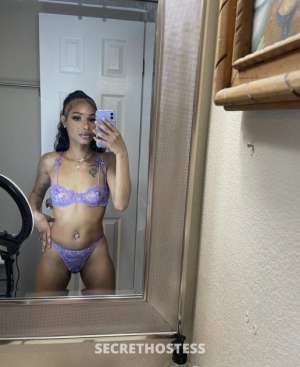 27 year old Escort in New Jersey NJ I'm avail for hokup in/out Email [email&nbsp;