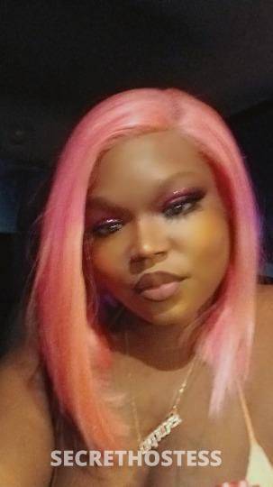 HARL3YQUINN 29Yrs Old Escort North Mississippi MS Image - 2