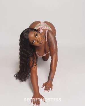 25 year old Escort in San Diego CA 25Yrs Old Escort San Diego CA
