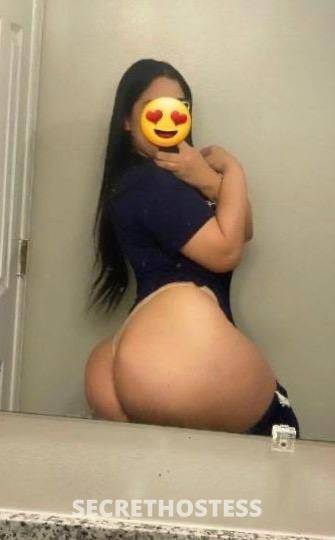 Valery 25Yrs Old Escort Fort Lauderdale FL Image - 0