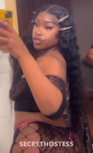 MRZBOUEJIICOOCHIEE 26Yrs Old Escort Brooklyn NY Image - 3