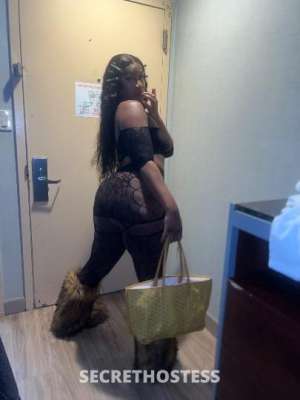 MRZBOUEJIICOOCHIEE 26Yrs Old Escort Brooklyn NY Image - 7