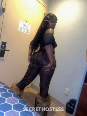 MRZBOUEJIICOOCHIEE 26Yrs Old Escort Brooklyn NY Image - 9