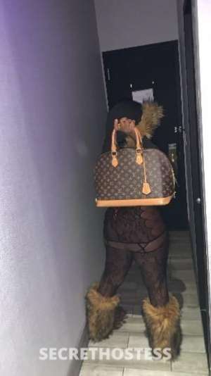 MRZBOUEJIICOOCHIEE 26Yrs Old Escort Brooklyn NY Image - 10