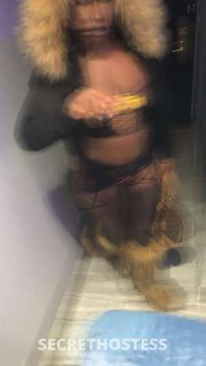 MRZBOUEJIICOOCHIEE 26Yrs Old Escort Brooklyn NY Image - 11