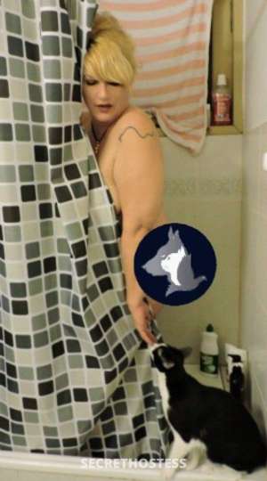 49Yrs Old Escort 180CM Tall Bangkok Image - 14