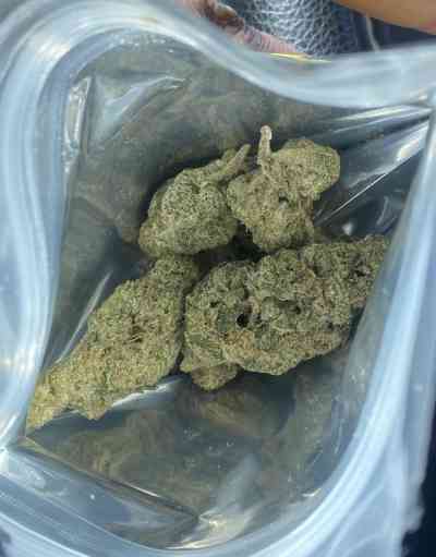 Down for SEX &SMOKE WhatsAppxxxx-xxx-xxx\Telegram>  in Adelaide