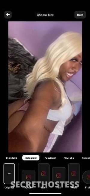 April 27Yrs Old Escort Bronx NY Image - 1