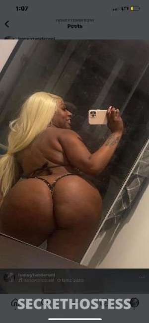 April 27Yrs Old Escort Bronx NY Image - 8